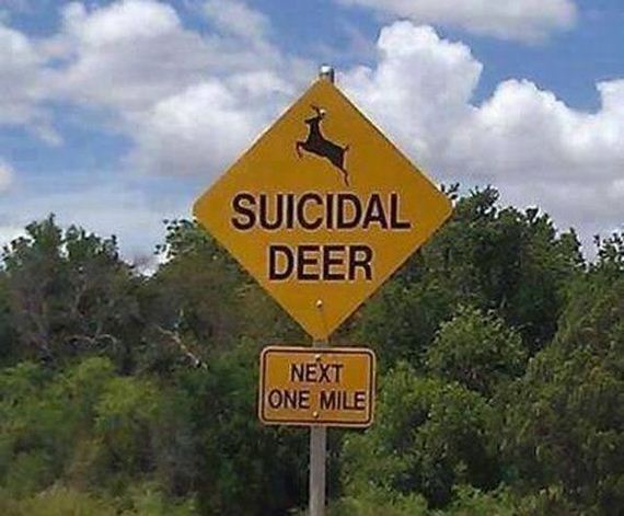funny-pictures-960