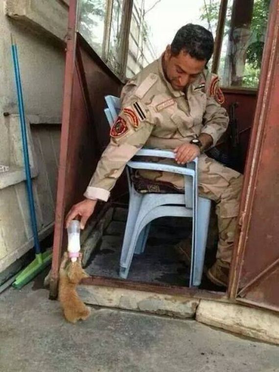 funny-pictures-960