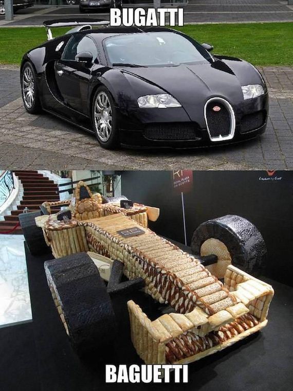 funny-pictures-960