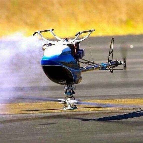 funny-pictures-963