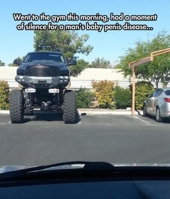 funny-pictures-963