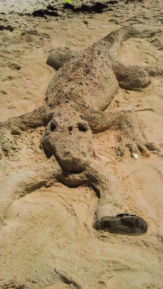 funny-pictures-965