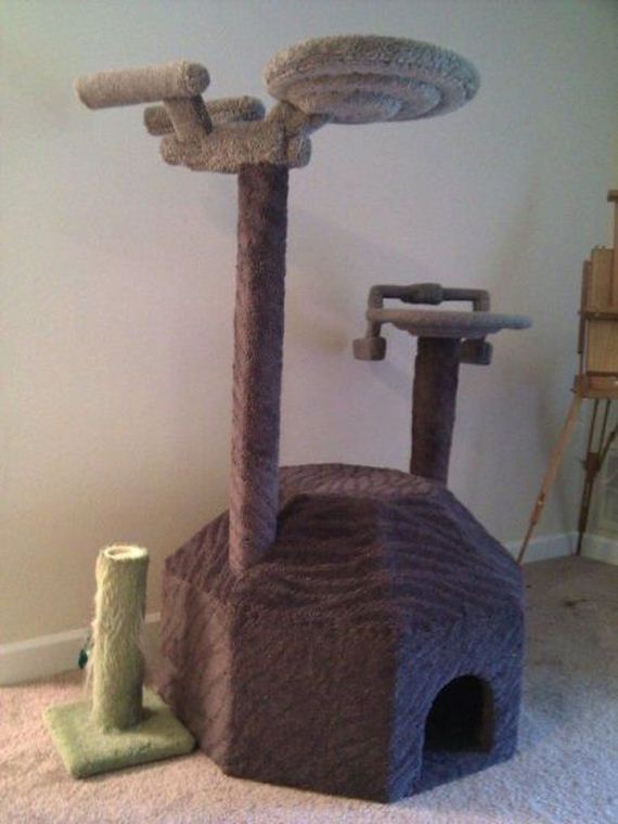 funny-pictures-966