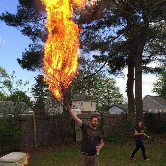 funny-pictures-966