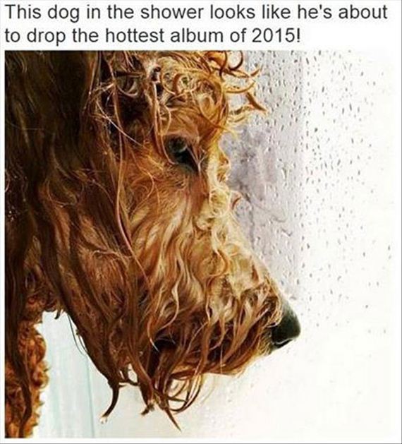 funny_pictures_of_the_day-1