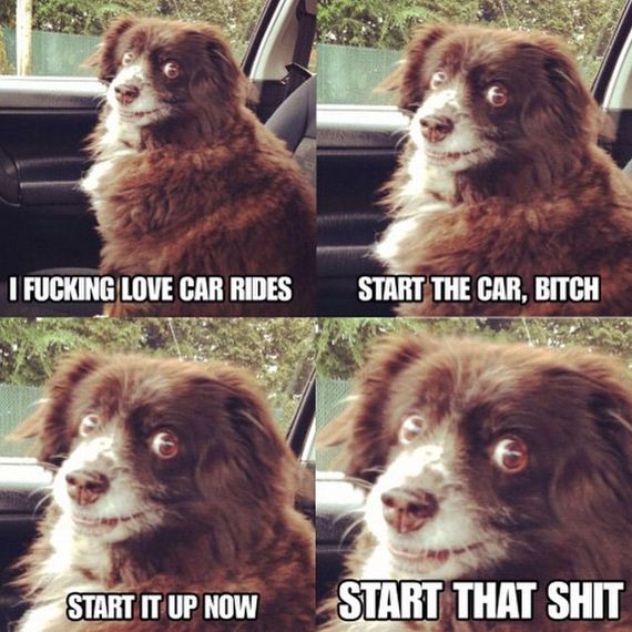 funny_pictures_of_the_day