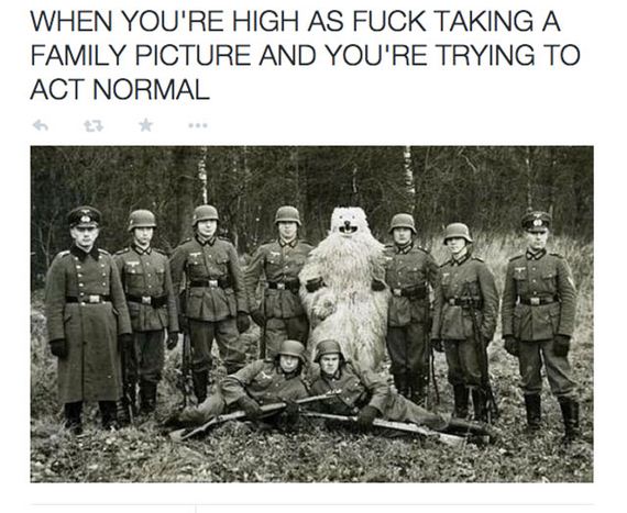 funny_pictures_of_the_day