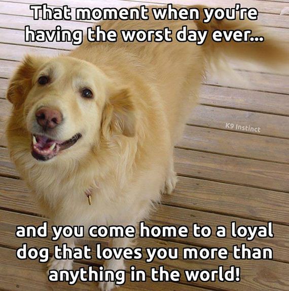 funny_pictures_of_the_day