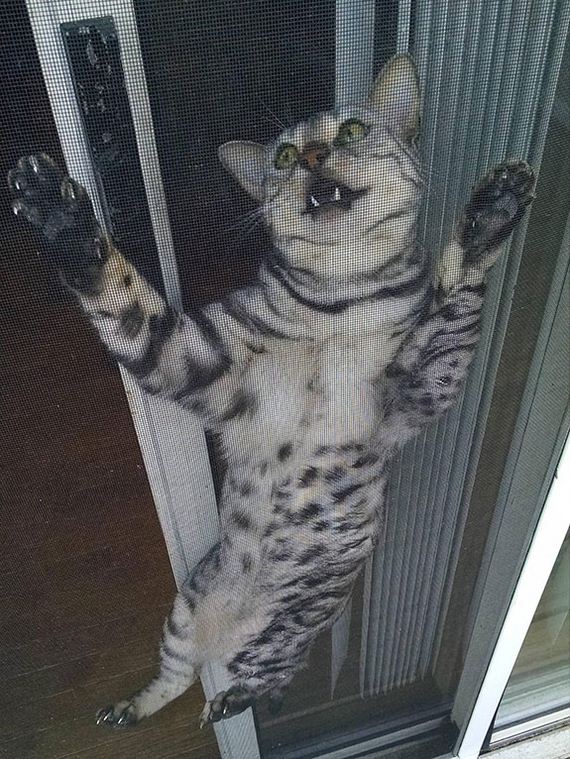 funny_pictures_of_the_day