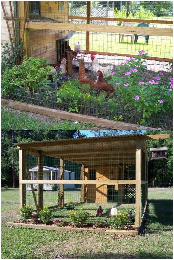 garden-shed