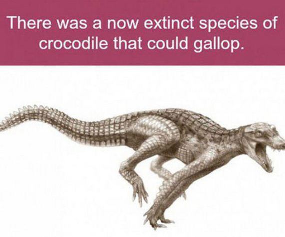 hell_nope_not