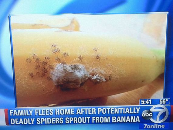 hell_nope_not