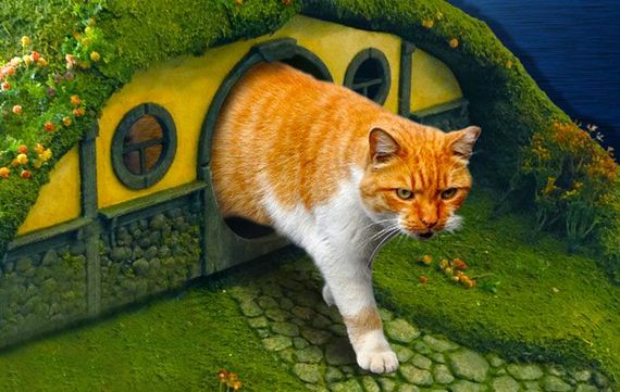 hobbit_cat_litter_box