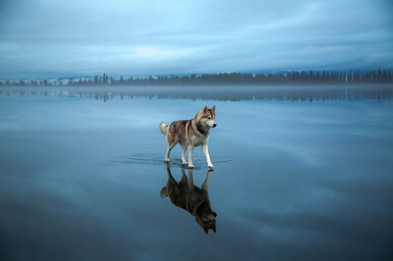 huskies-lake-play