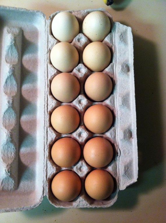 interesting-photo
