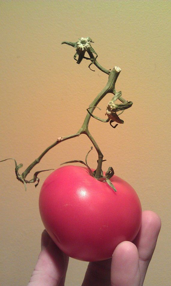 interesting-photo
