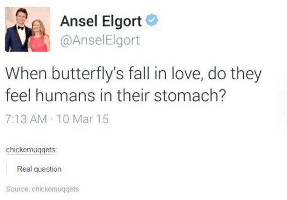 none-of-this-makes-any-sense