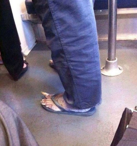 only_question_is_wtf