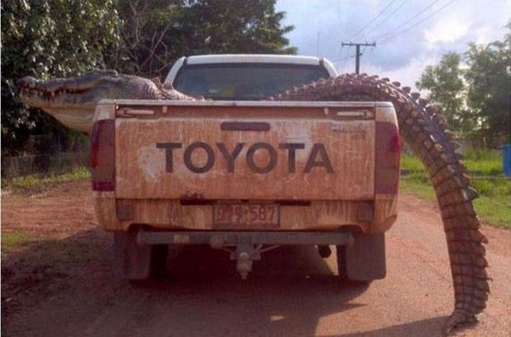 only_question_is_wtf
