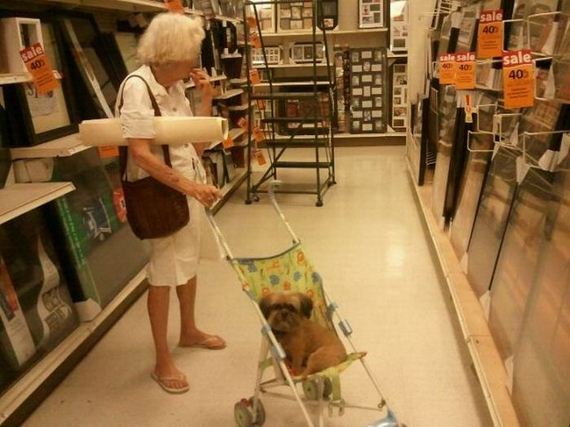 only_question_is_wtf