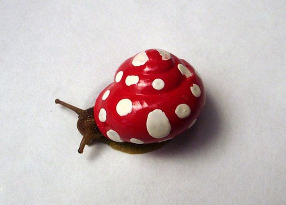 painted_snail_shells