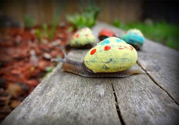 painted_snail_shells