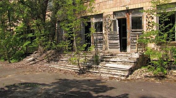 pripyats_new_nature