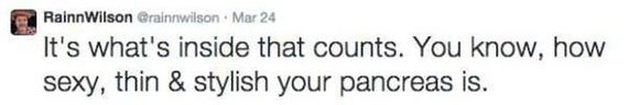 rainn_wilson_humor