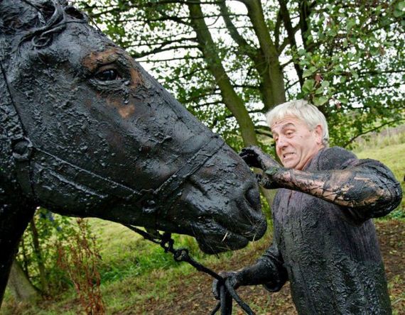 rescue_horse
