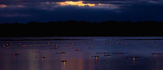 scarer_at_night