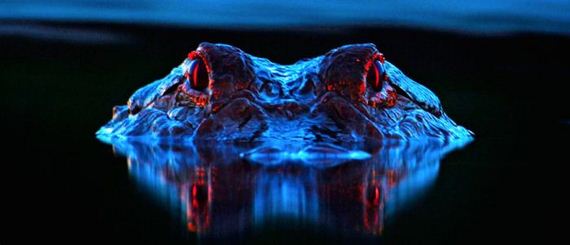 scarer_at_night