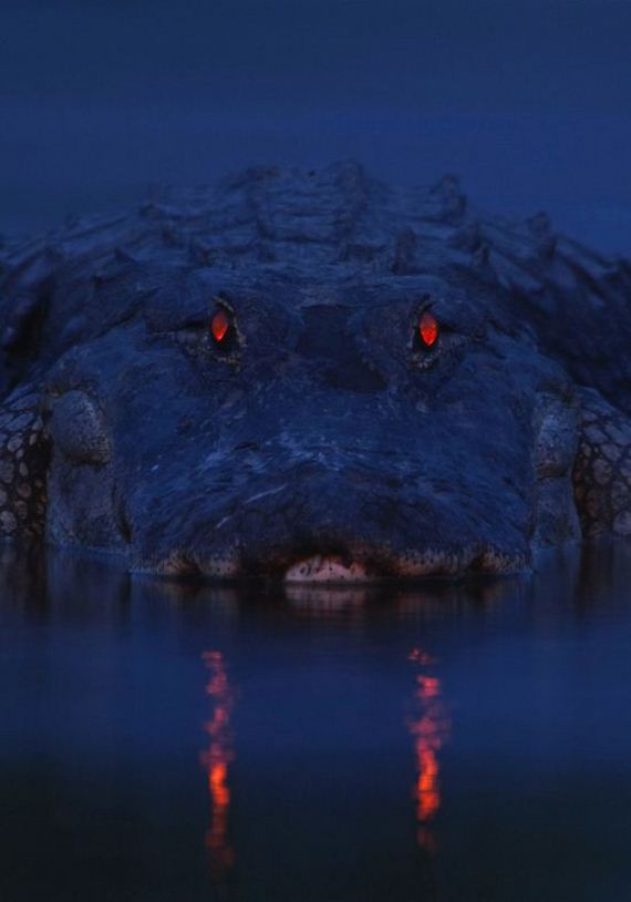 scarer_at_night