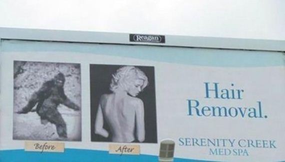 seems-legit