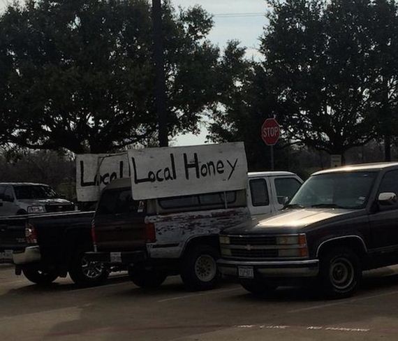 seems-legit
