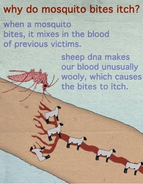 seems-legit