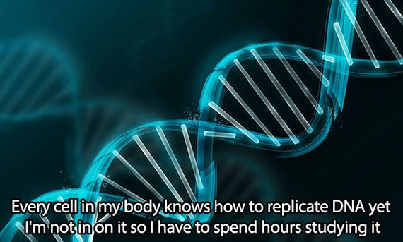 shower_thoughts