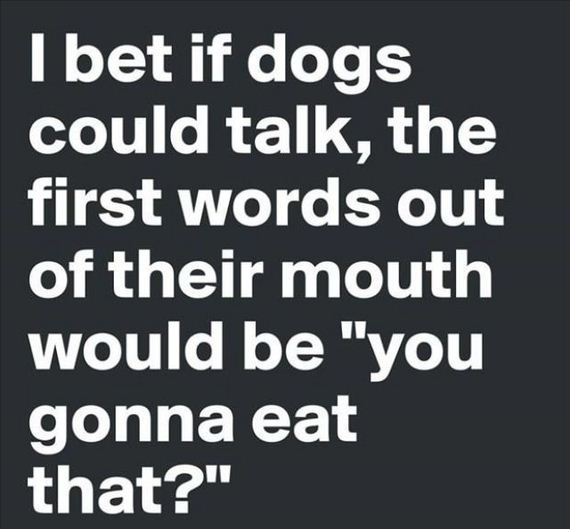 stuff_thats_so_true_there