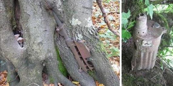 the-erie-forest-of-lost-soldiers