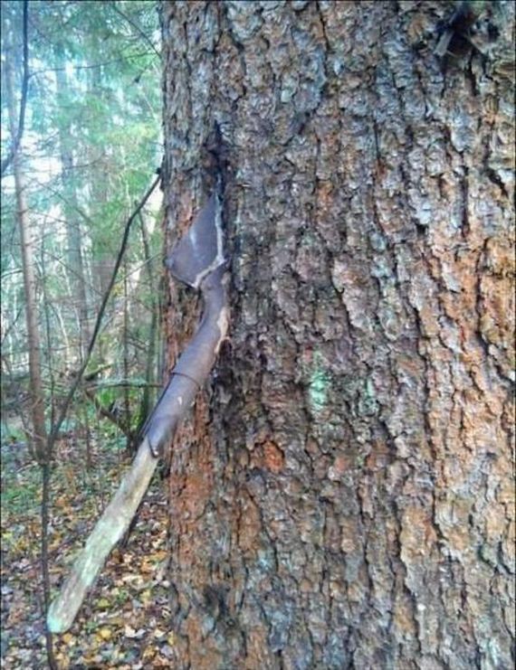 the-erie-forest-of-lost-soldiers