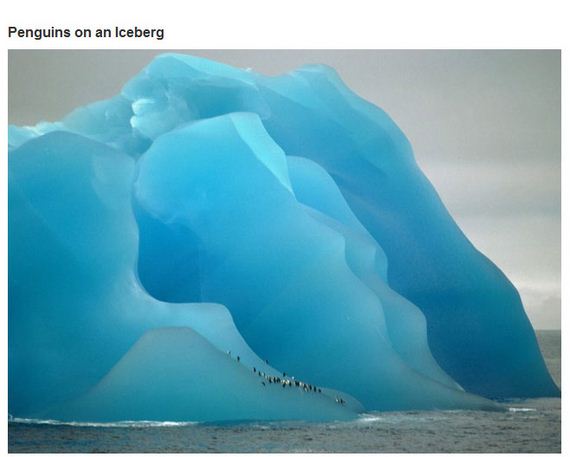 very_interesting_photo_03