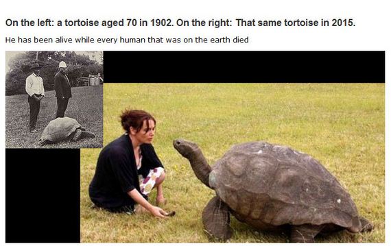 very_interesting_photo_03