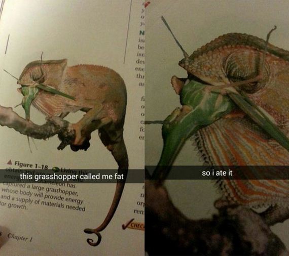 winning_at_snapchat