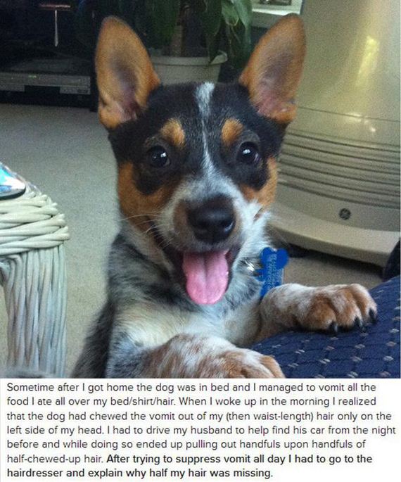 worst-hangover-stories-ever