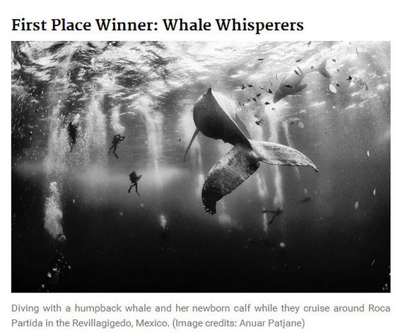 2015_national_geographic