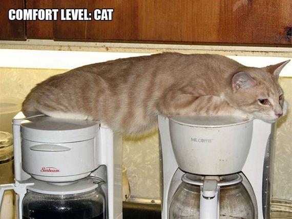 Cat-Logic