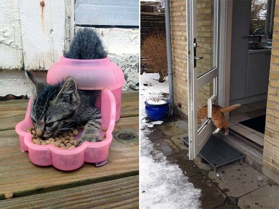 Cat-Logic
