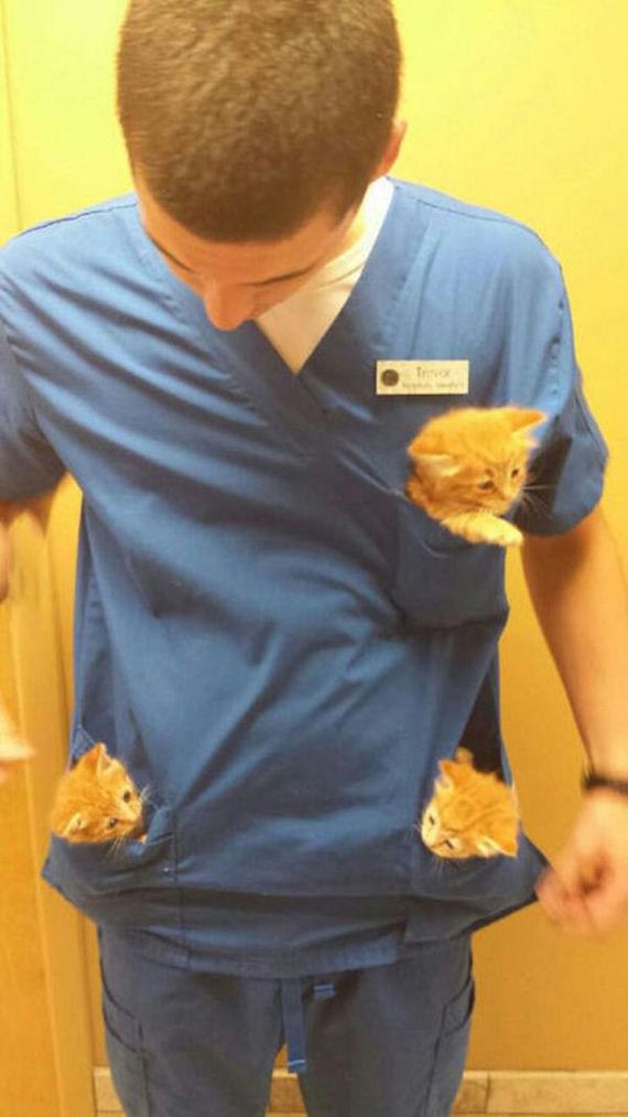 Cats-Caturday