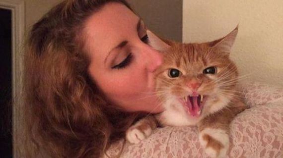 Caturday-Day