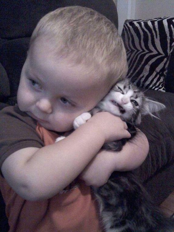 Caturday-Day