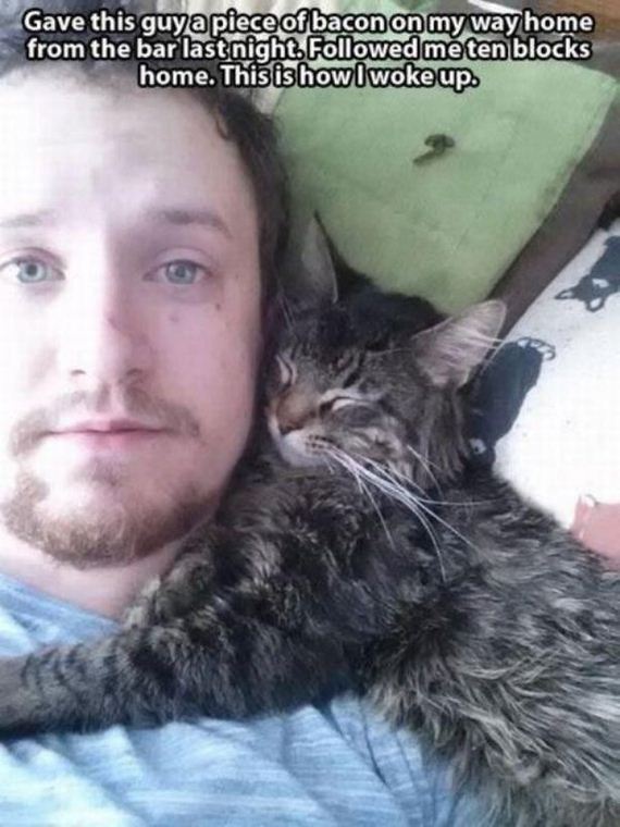 Caturday-Day